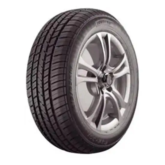 Pneu FORTUNE 215-60R17 FSR301
