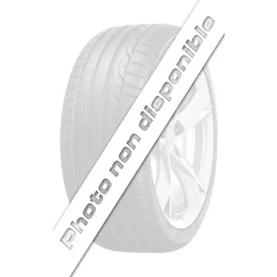 Pneu  GOODYEAR 205-55R17 95V XL