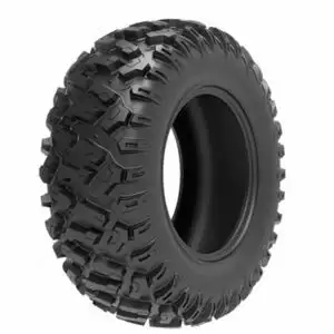 Pneu Arisun 30X10 R15 69M 8PR | AR30 Bruiser VT · Été